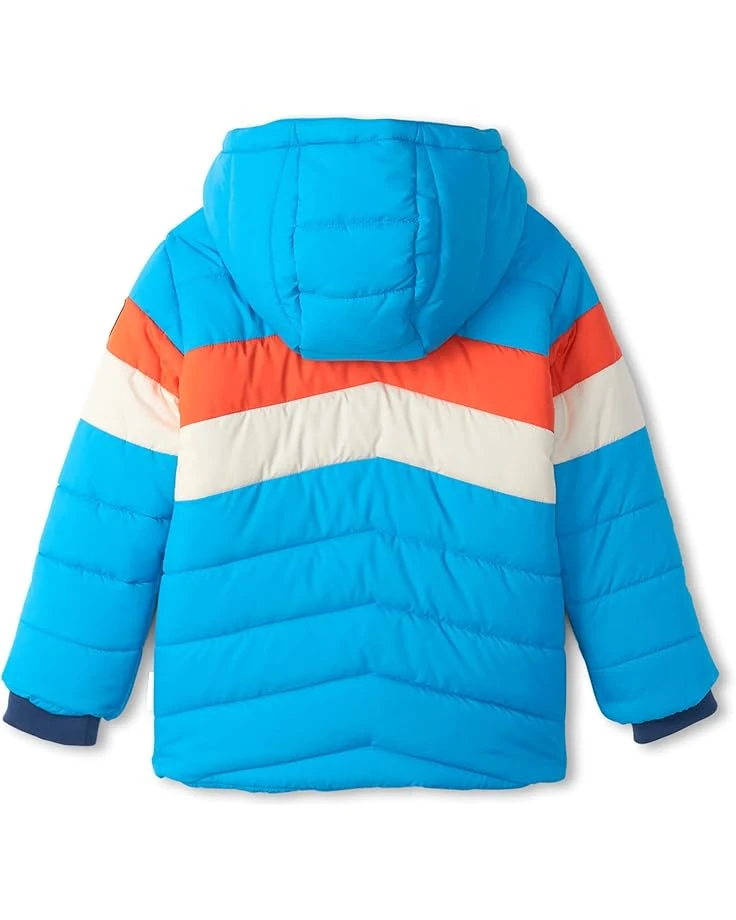 Hatley Kids Retro Winter Puffer Jacket (Toddler/Little Kids/Big Kids) | Coats & Outerwear 4 Hatley Kids Retro Winter Puffer Jacket (Toddler/Little Kids/Big Kids) | Coats & Outerwear - Image 2
