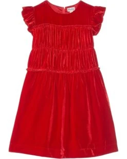Hatley Kids Velvet Smock Panel Dress (Toddler/Little Kids/Big Kids) | Dresses